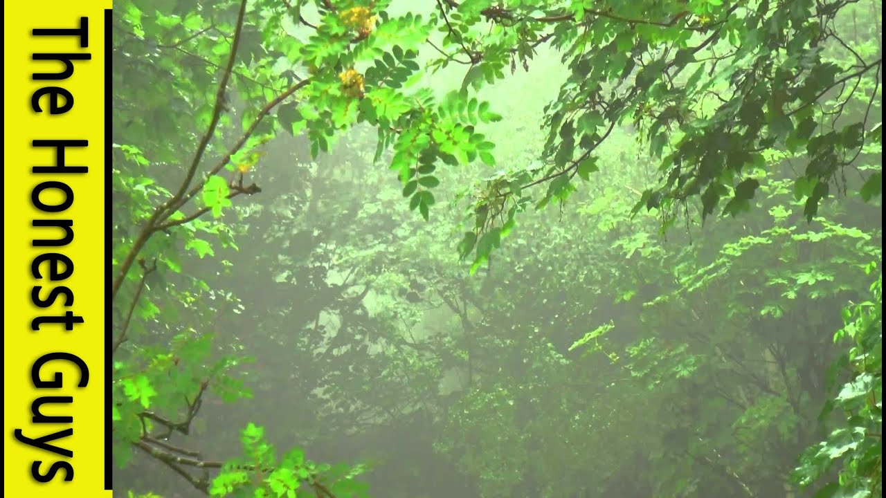 GUIDED Sleep Talk Down to Rain Sounds. Deepest Relaxation to Nature Sounds