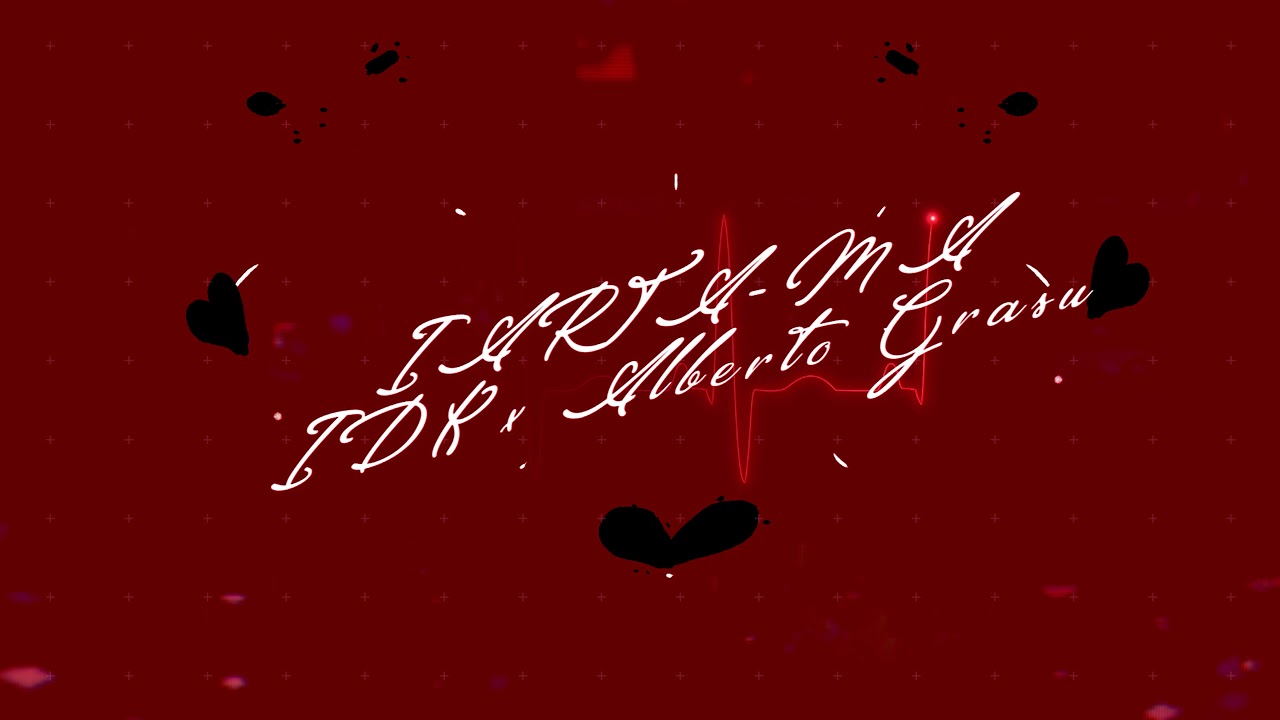 idk x Alberto Grasu-imi pare rau(official visualizer)