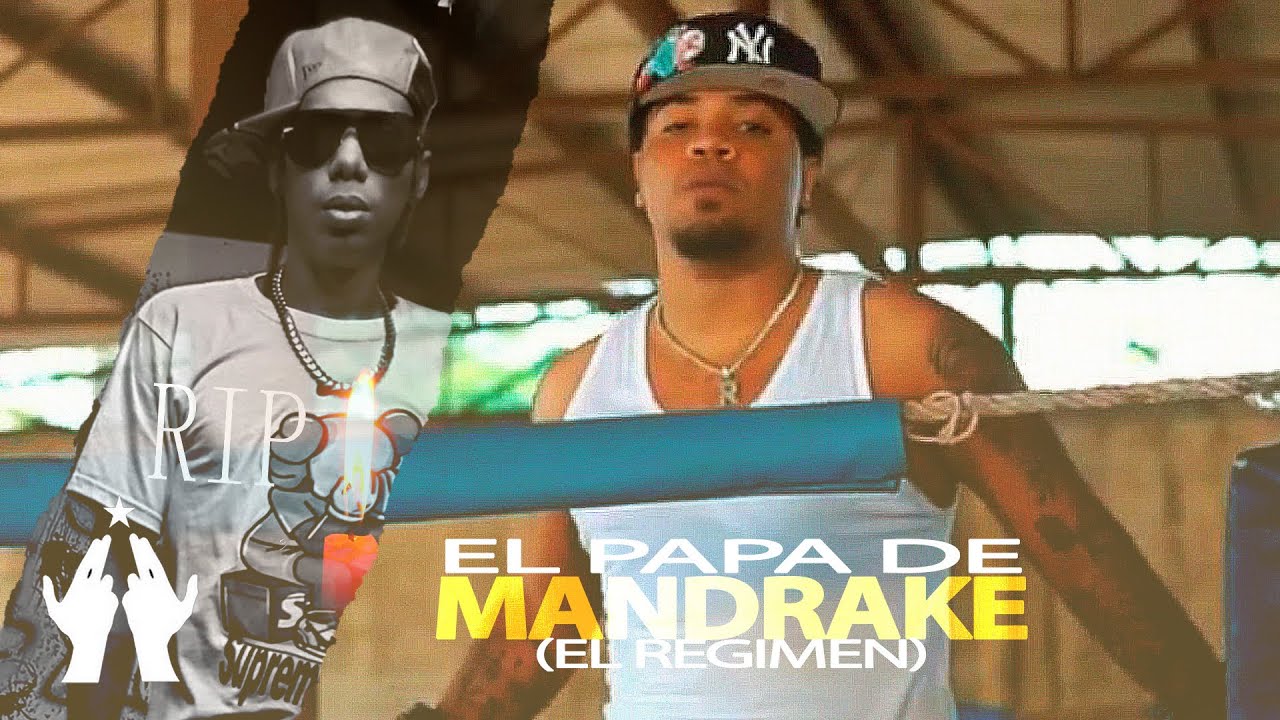 EL PAPA  - El Régimen | Tiradera  8