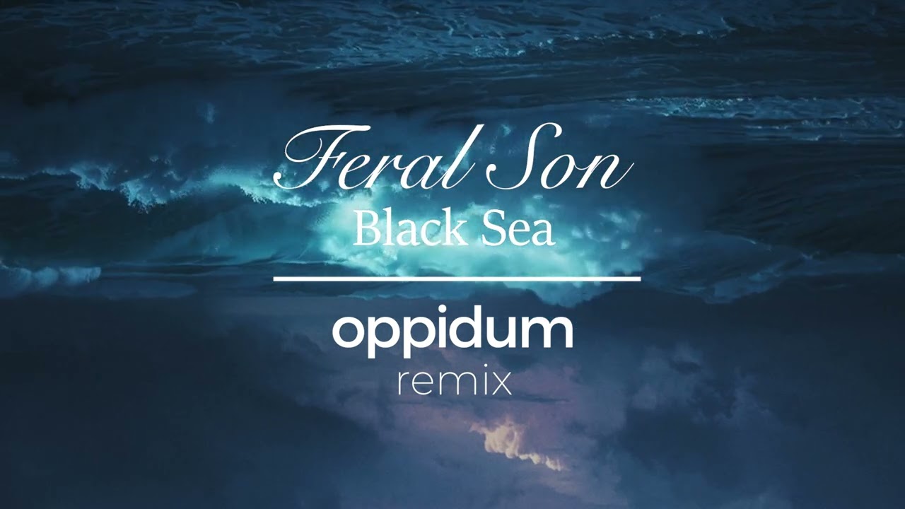 Feral Son - Black Sea (oppidum remix)