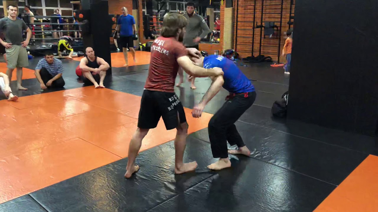 Защита от тейкдаунов: 4 видео (анаконда)