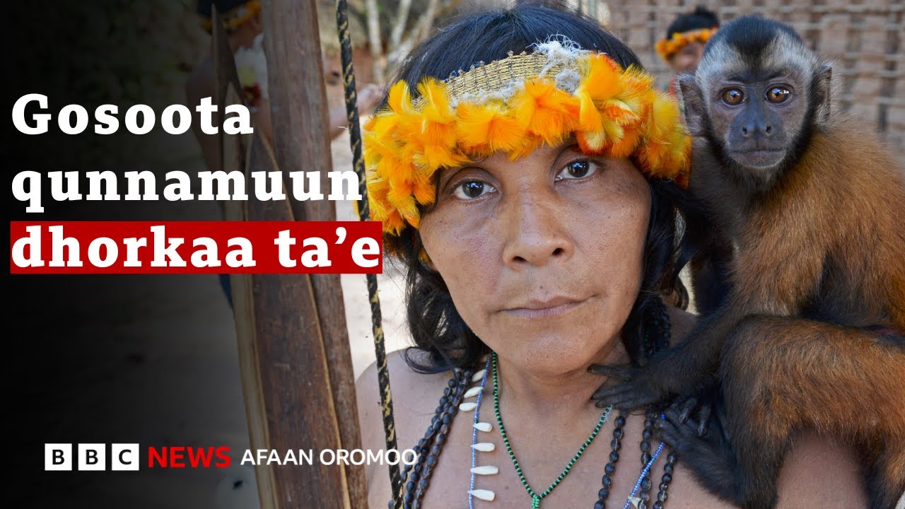 Gosa ilma namaa namni kaan bira gahuun dhorkaa ta'e beektuu? | BBC News Afaan Oromoo