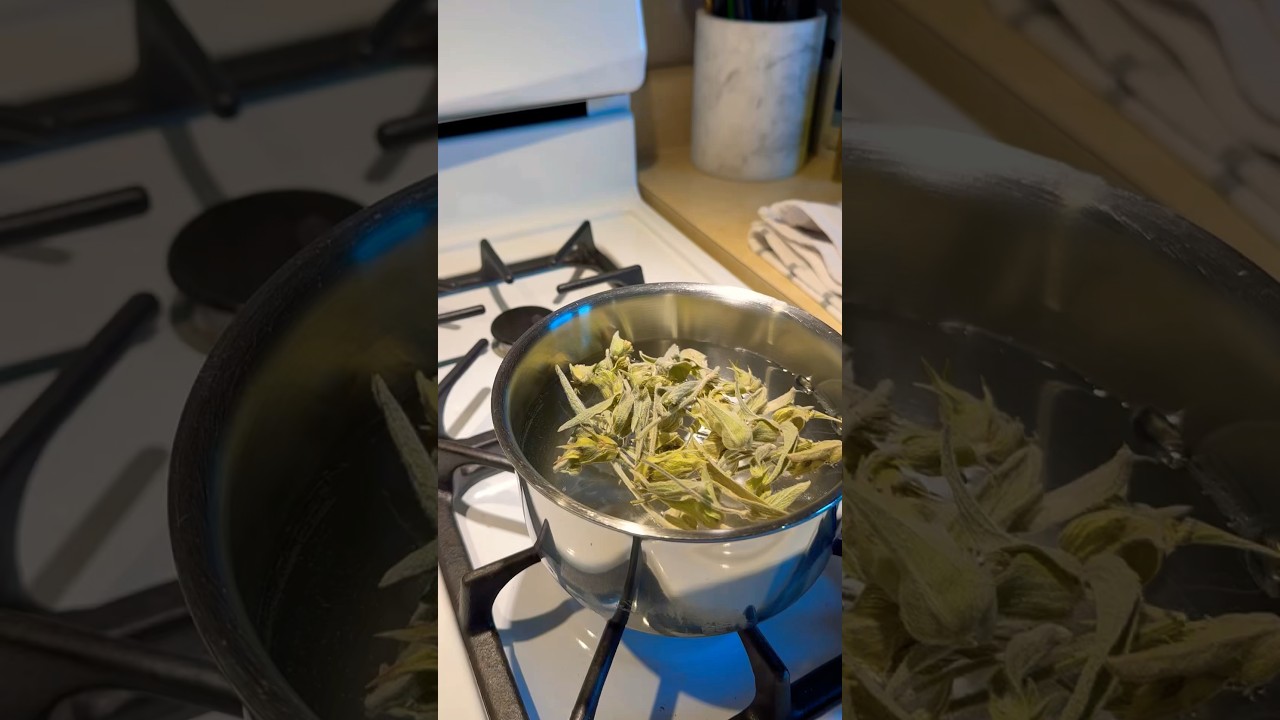 How to Prepare Greek Mountain Tea
