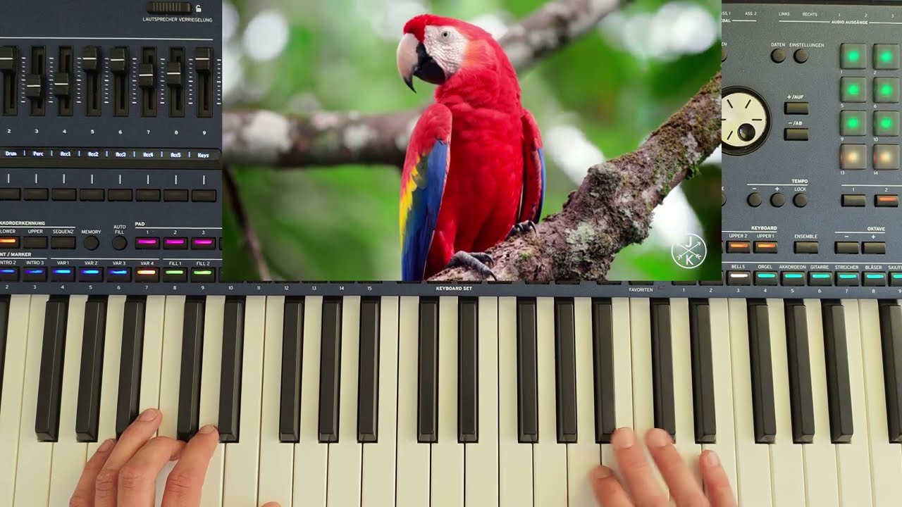 KorgStyle - Wild Nature  Relaxing Euro Disco & Danekoo1 Instrumental 2026