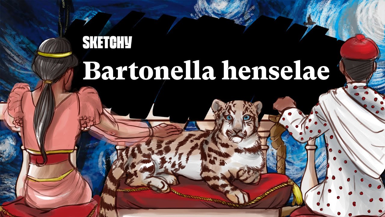 Bartonella henselae Overview (Part 1) | Sketchy Medical | USMLE Step 1