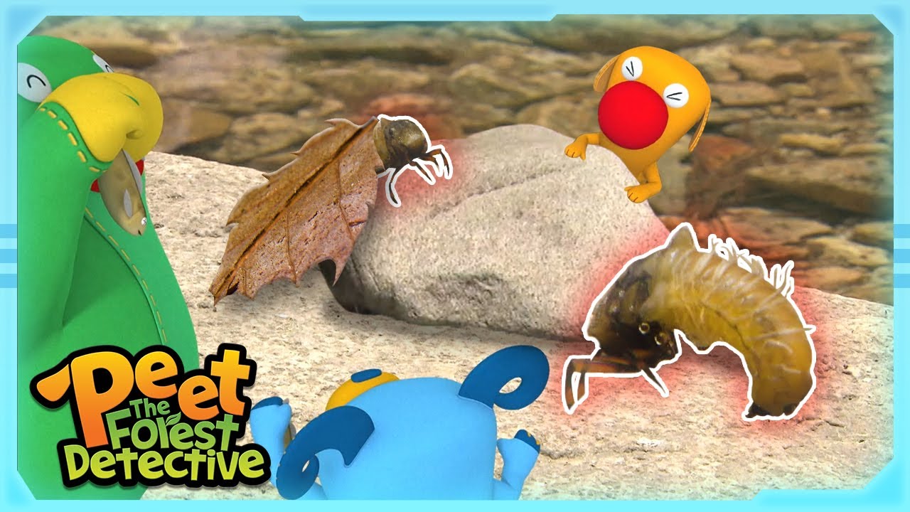The Magic of Moving Rocks | Full Episode 6| Cartoons for Kids | Peet The Forest Detective