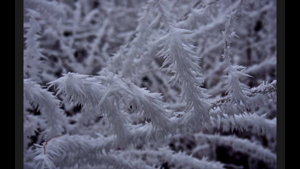 Incredible Hoar Frost!!