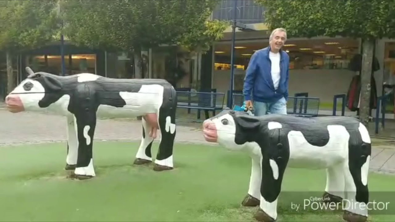 Happy in het Kalf 😄