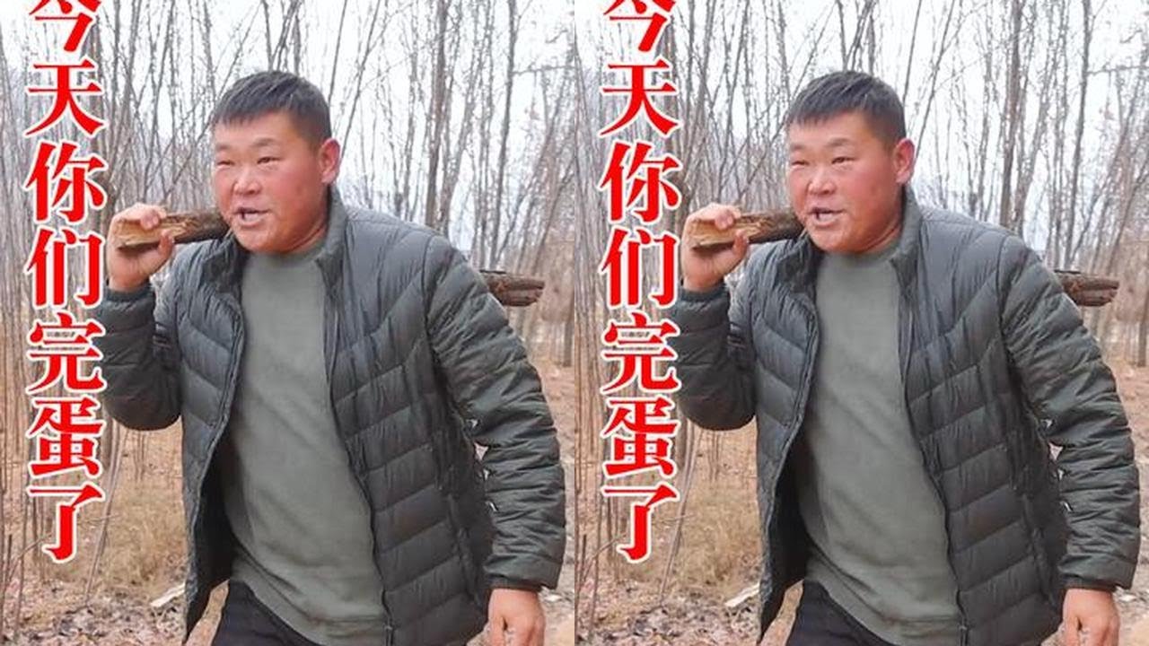 胖厨子“误会”俩人偷吃鸡，用美食修复兄弟情谊，结果最后傻眼了 #我的乡村生活 #虾尾拌面