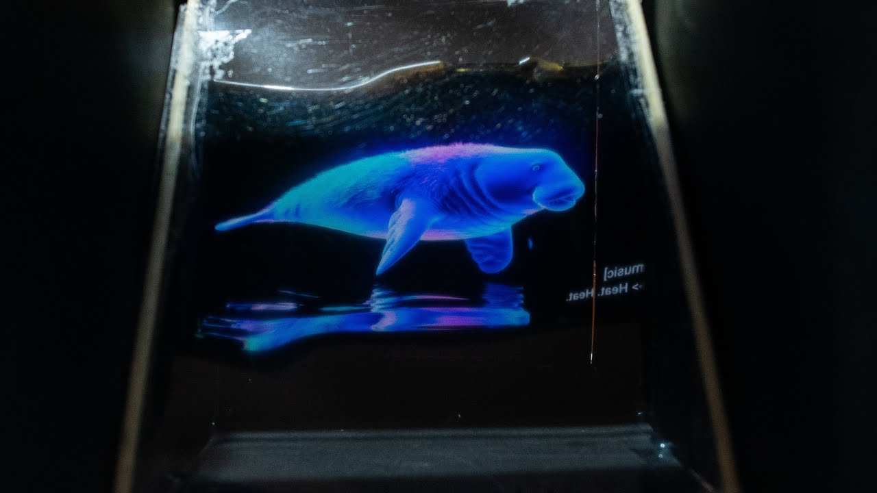 DIY 3D Hologram Box from Recycled Materials 📦✨ | Amazing Animals Projection | BEST-CRAFTY