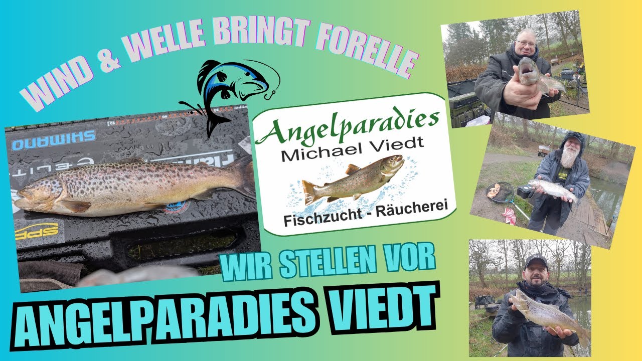 Angelparadies Viedt +++Jagd auf die Lachse+++