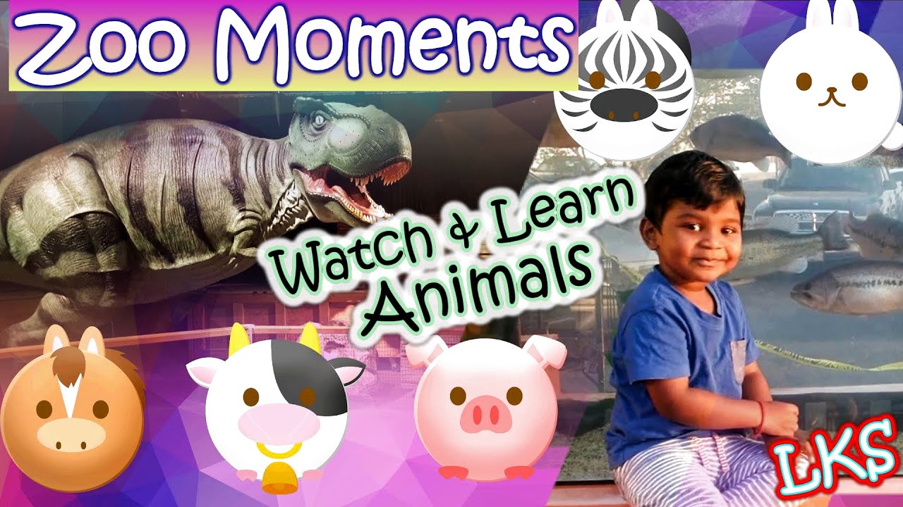 Zoo Moments| Watch and Learn Animals for Kids| Tamil| Travel vlog|  US