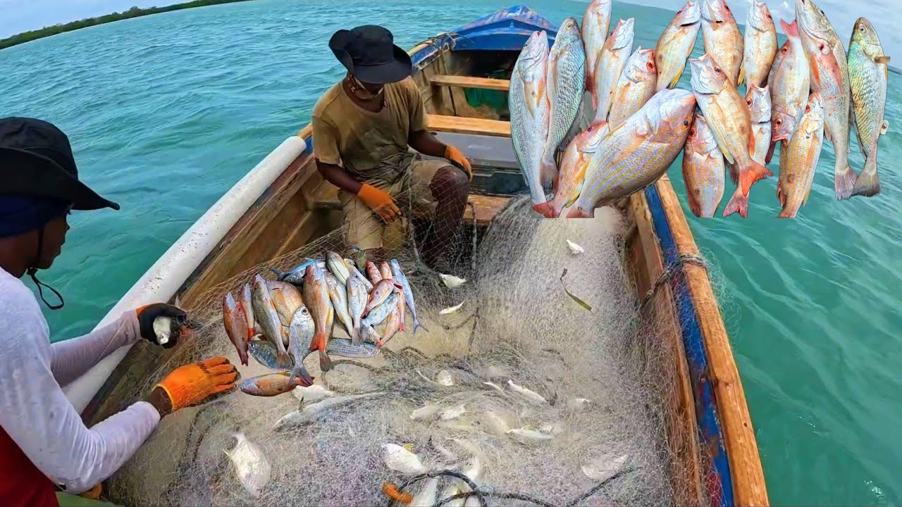 BIG CATCH‼️9HRS FISHING FOR LANE SNAPPERS & MOJARRAS‼️SUCCESSFUL DAY‼️