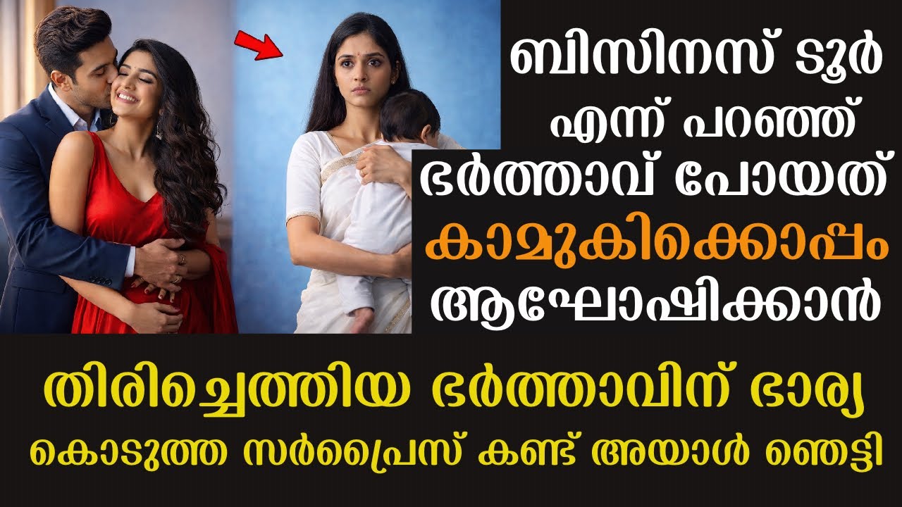 കാമുകിക്കൊപ്പം ആഘോഷിക്കാൻ പോയ ഭർത്താവ് തിരിച്ചു വന്നപ്പോൾ ഭാര്യ കൊടുത്ത സർപ്രൈസ്‌ കണ്ട് അയാൾ ഞെട്ടി 