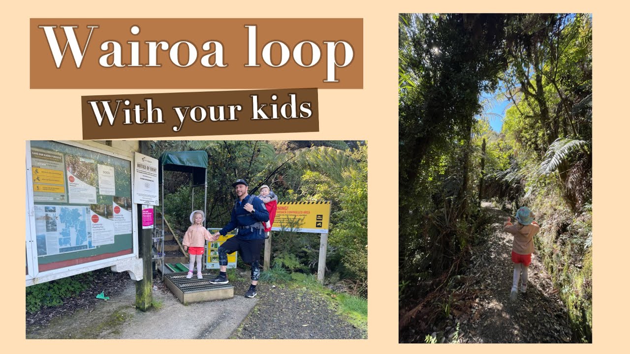 Wairoa Loop Track, Hunua