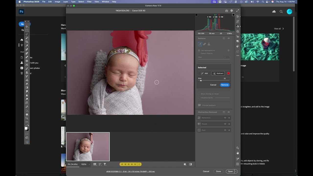 Generative AI using Adobe Camera Raw 17.5