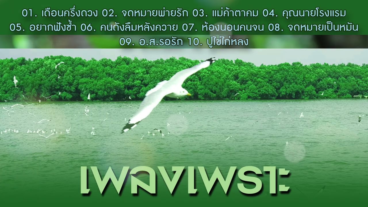 เพลงเพราะ เดือนครึ่งดวง/จดหมายพ่ายรัก/แม่ค้าตาคม/คุณนายโรงแรม