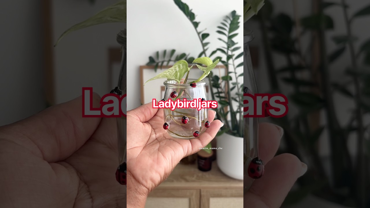 DIY glass jars - Ladybird upcycle 🐞 #diy