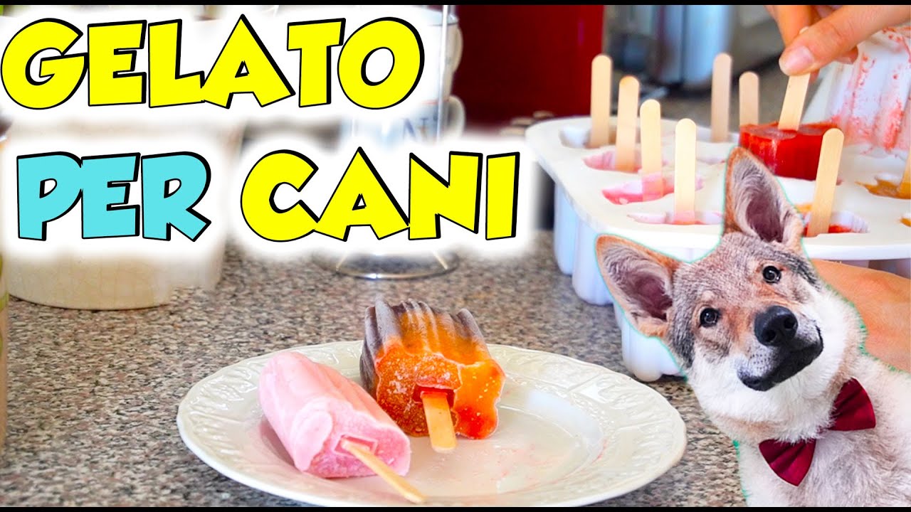 GELATO PER CANI E BAMBINI FATTO IN CASA