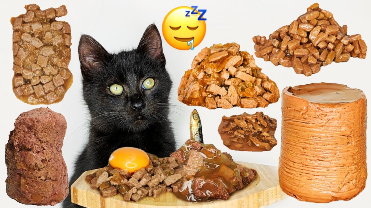 1 Hour | Cat Eating ASMR with Music for Relaxation and Deep Sleep 😴🌙😻