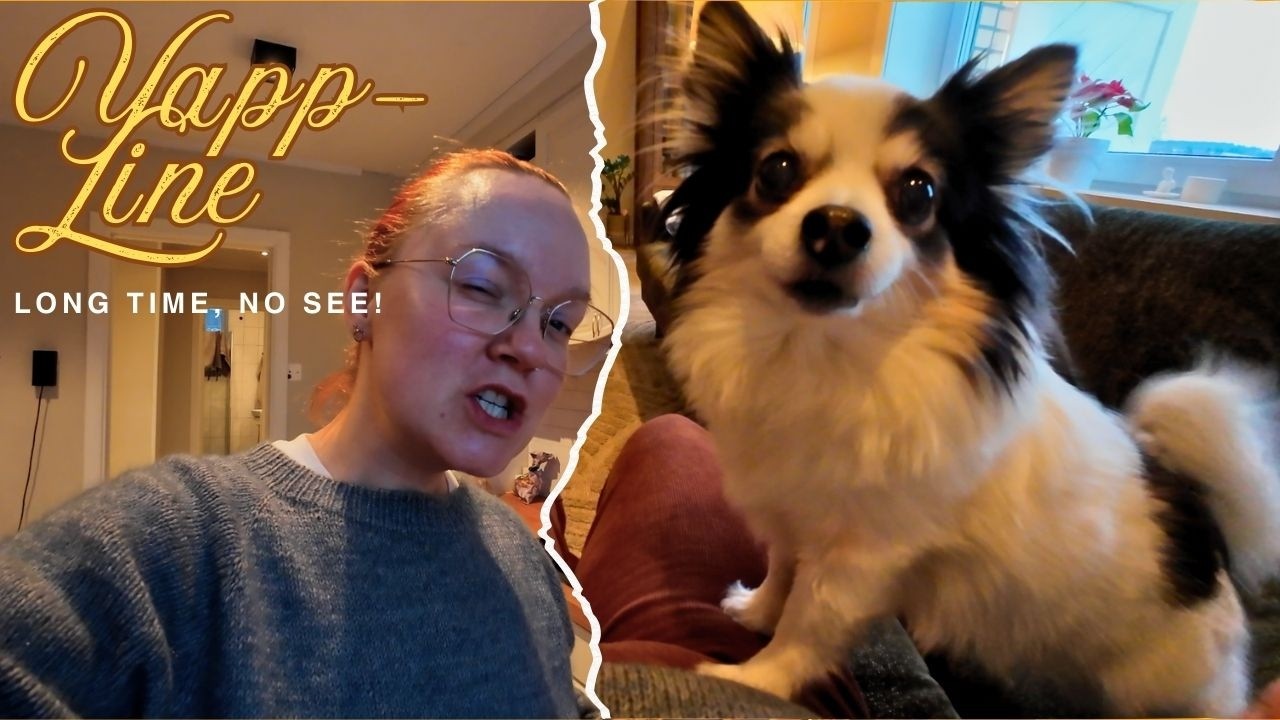 Yapp time, animal crossing & catch up! Hva har skjedd siden sist?? / VLOGG