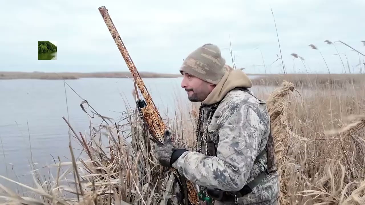 2 ci hissə: Həyəcanlı anlar. Gözlənilməz qonaqlar Part Two: Moments of Tension. Unexpected  #s