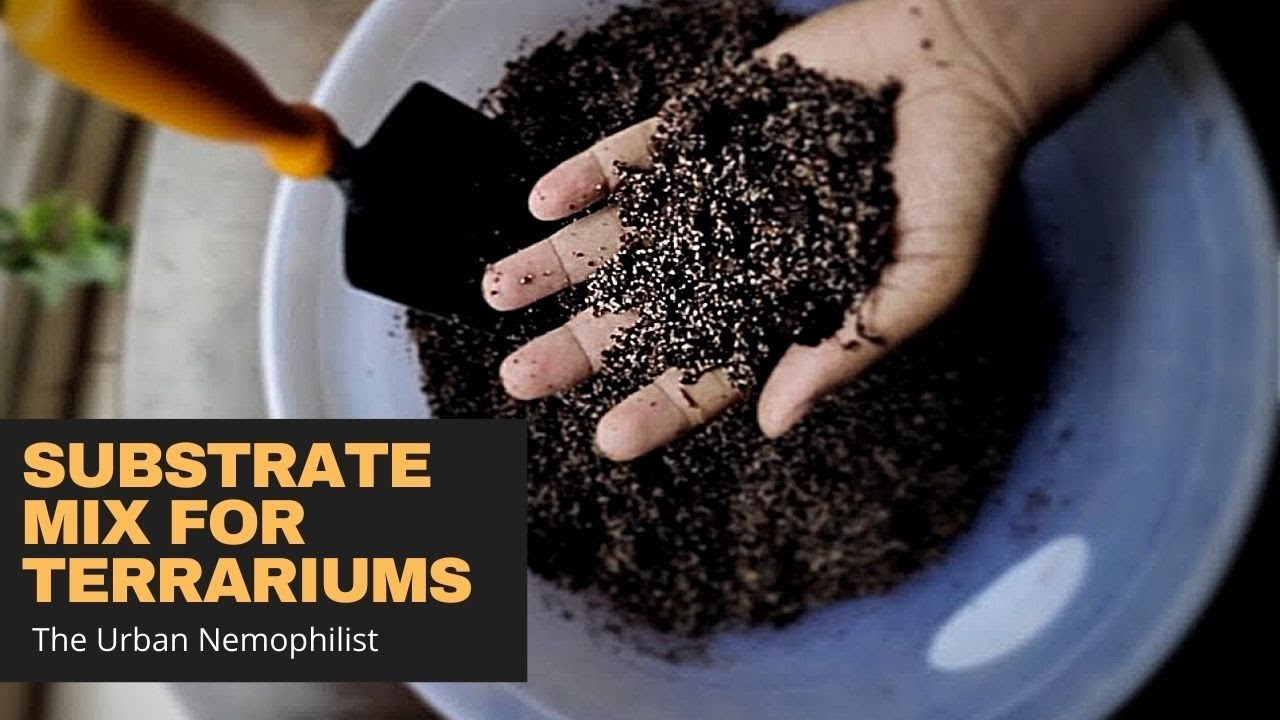Substrate mix for terrariums (Soil mix for terrariums)