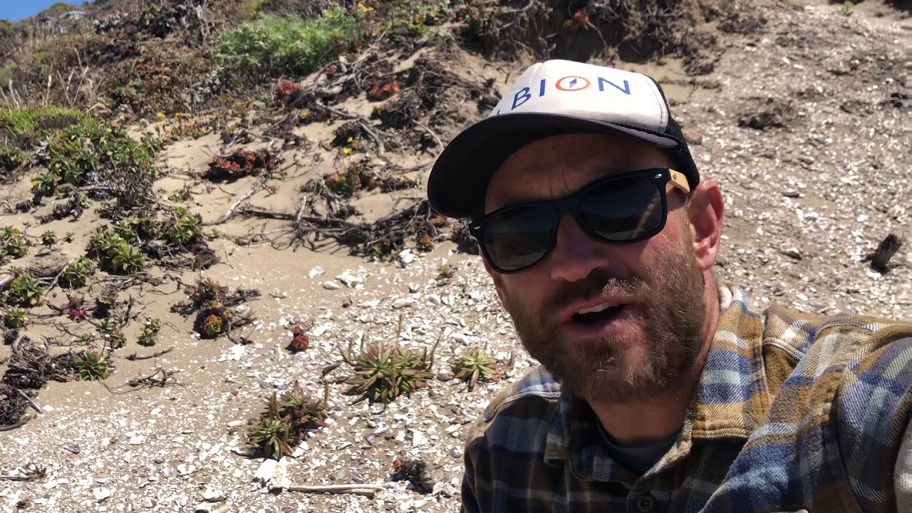 Shell Midden