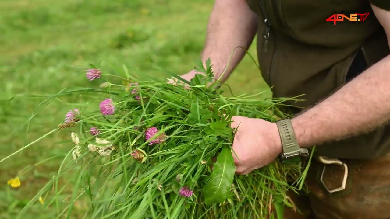Wildtierern&auml;hrung neu gedacht &ndash; Anblick Teaser