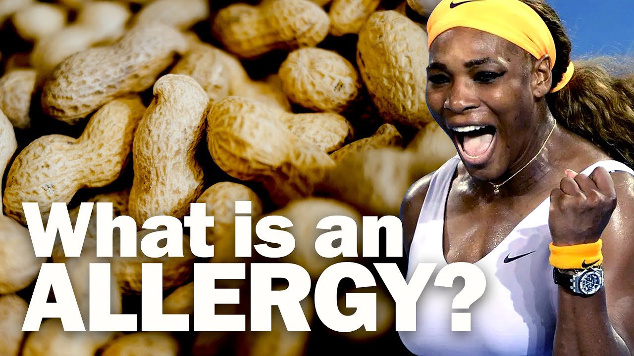 What Is an Allergy? Simple & Clear Explanation for Beginners | Allergy Symptoms & Causes