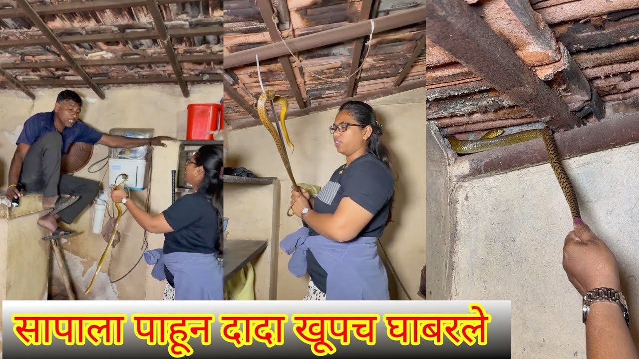 😱कौलाच्या घराच्या कोपऱ्यात निवांत लपून बसलेला सापाला पाहून लोकांची झाली गाळण पाहा🐍