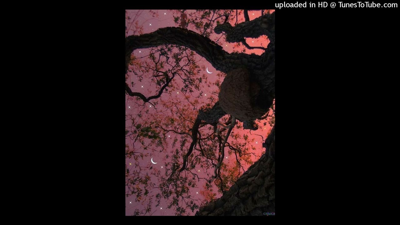 [FREE] Ambient Trap + Experimental Type Beat 