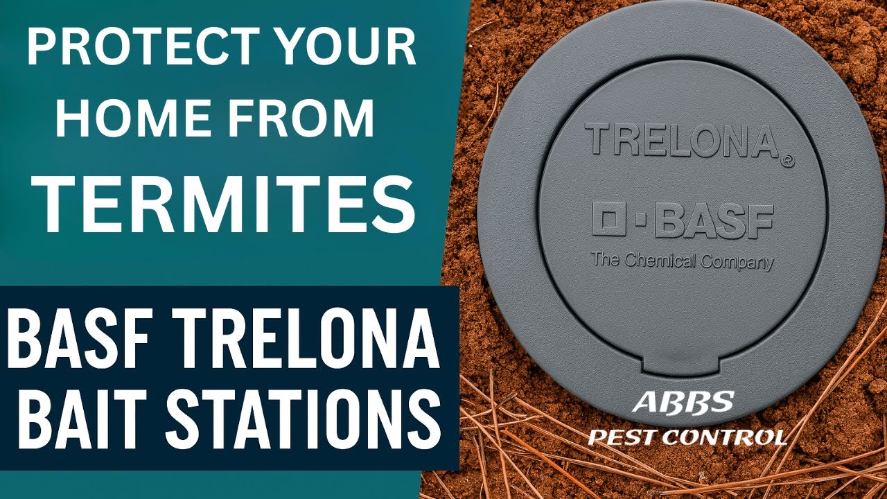Protect Your Home from Termites with BASF Trelona Bait Stations | Expert Termite Control
