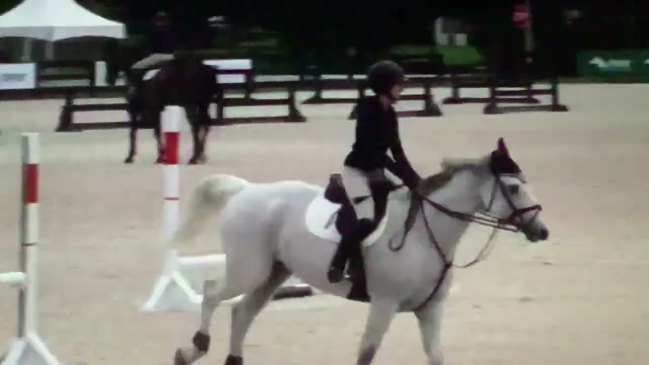 Katie Prudent USEF Clinic Group 1 Part 2