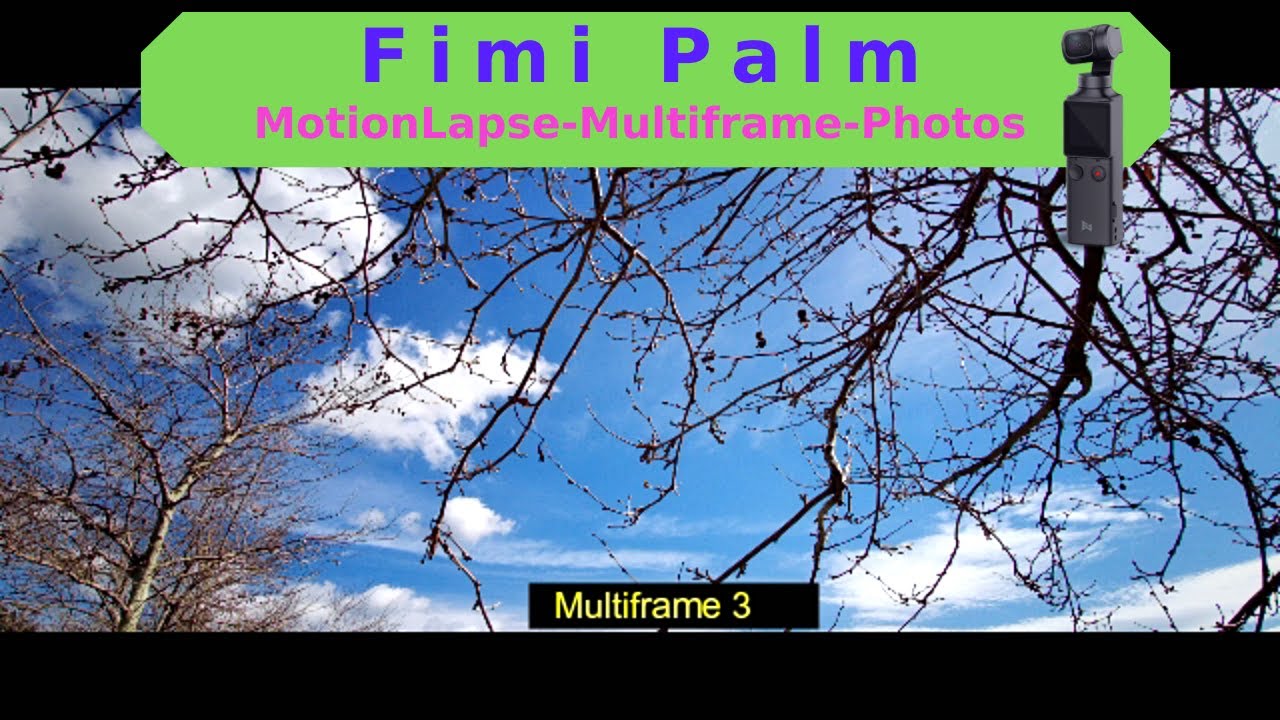 Fimi palm Motionlapse, Multiframes, Photos explained