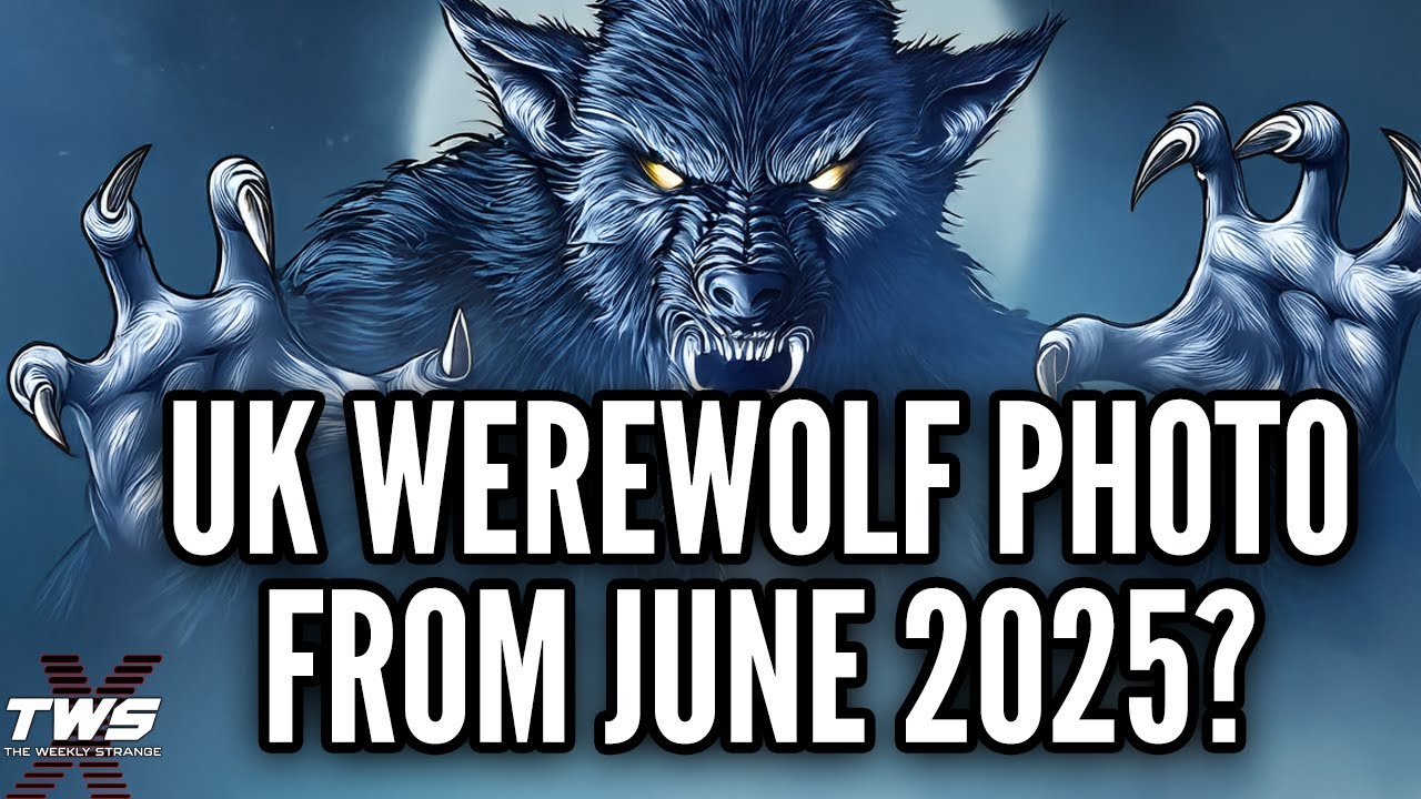 Наблюдения и фото оборотней в Великобритании за июнь 2025 г. — The Weekly Strange: Эпизод 23