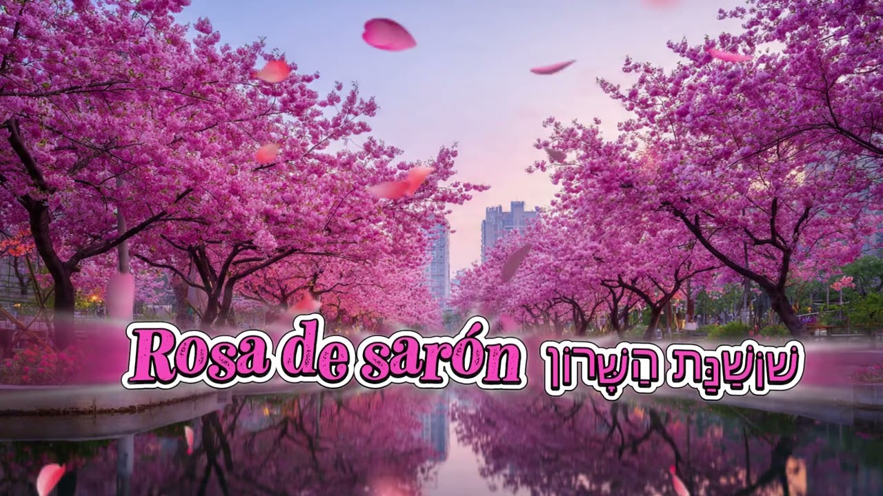 Rosa de Sarón (hino ccb em 2idiomas)| שׁוֹשַׁנַּת הַשָּׁרוֹן | Louvor em Português e Hebraico!