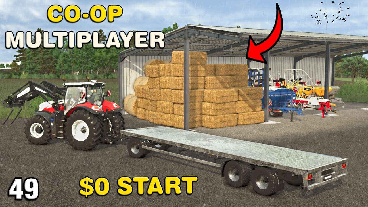ALL THE STRAW IS BALED AND MANUALLY STACKED CO-OP Multiplayer Survival4X FS25 Ep49