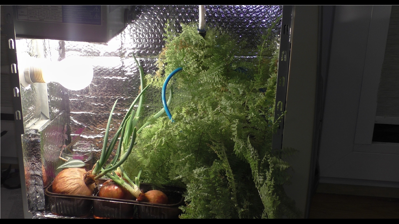 Jak zrobić GrowBox ze starego komputera + system szybkiego podlewania