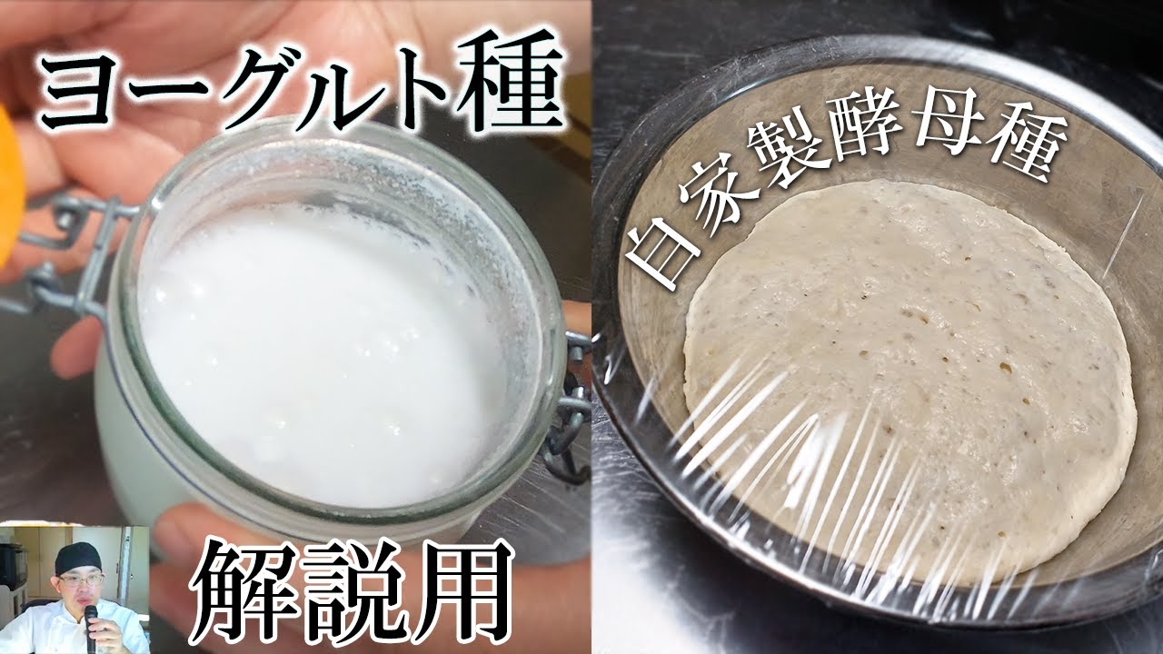 【ヨーグルトでパン種作り】『細かいとこまで寄り添い解説』自家製種でパン作りの第一歩。