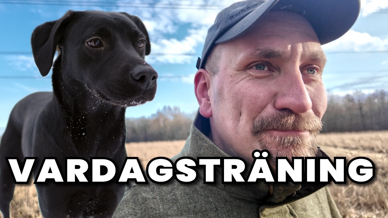 Vardagsträning på promenaden