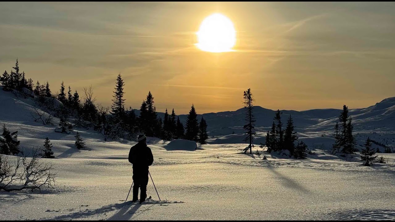 Høgevarde Januar 2026