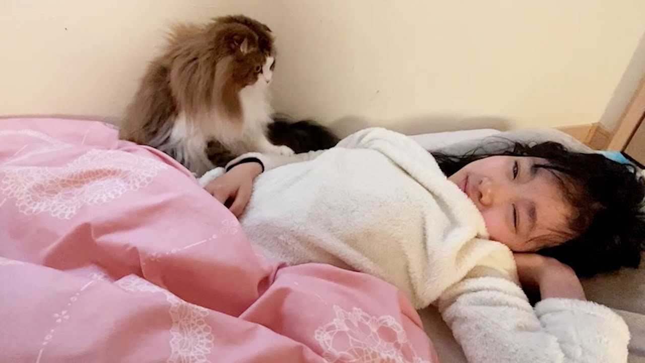 休日の朝、娘を起こす猫