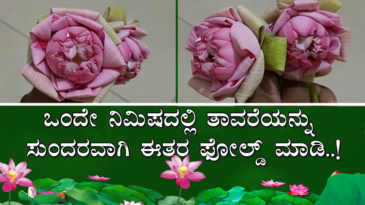 How to Fold Original Lotus Flower Petals beautifully| ಕ್ಷಣದಲ್ಲಿ ತಾವರೆಯನ್ನು ಸುಂದರವಾಗಿ ಈತರ ಫೋಲ್ಡ್ ಮಾಡಿ