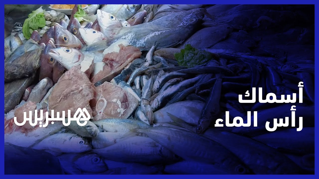 رأس الماء..  مدينة معروفة بجودة ولذة أسماكها تعرف إقبالا من طرف المواطنين في فصل الصيف