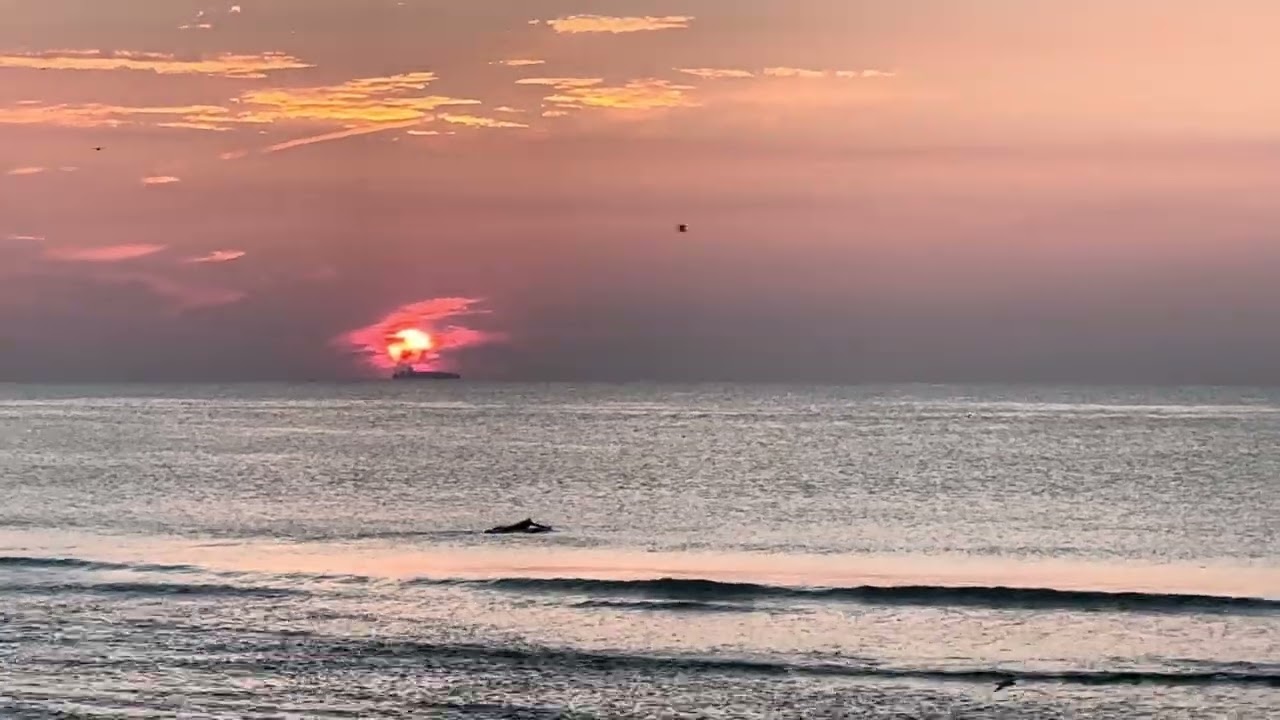 Belmar , New Jersey