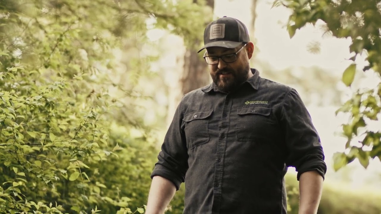 Biffed It Media Demo Video | Cinematic Sequence Walking Through A Forest