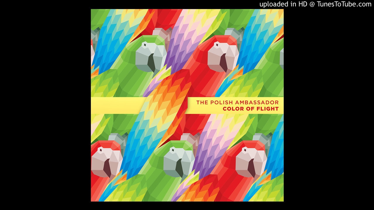 The Polish Ambassador - Love Is All