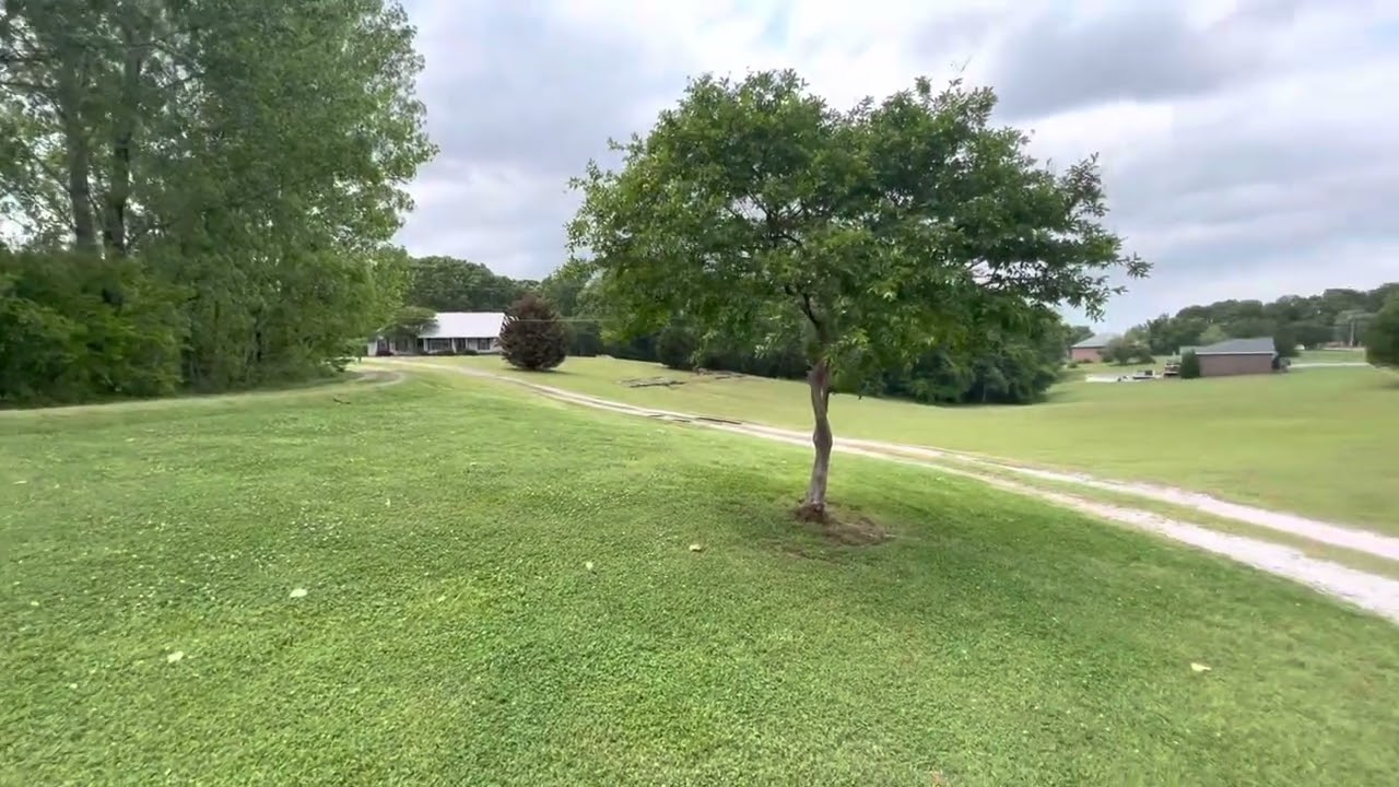 131 County Road 379, Trinity AL from drive entrance