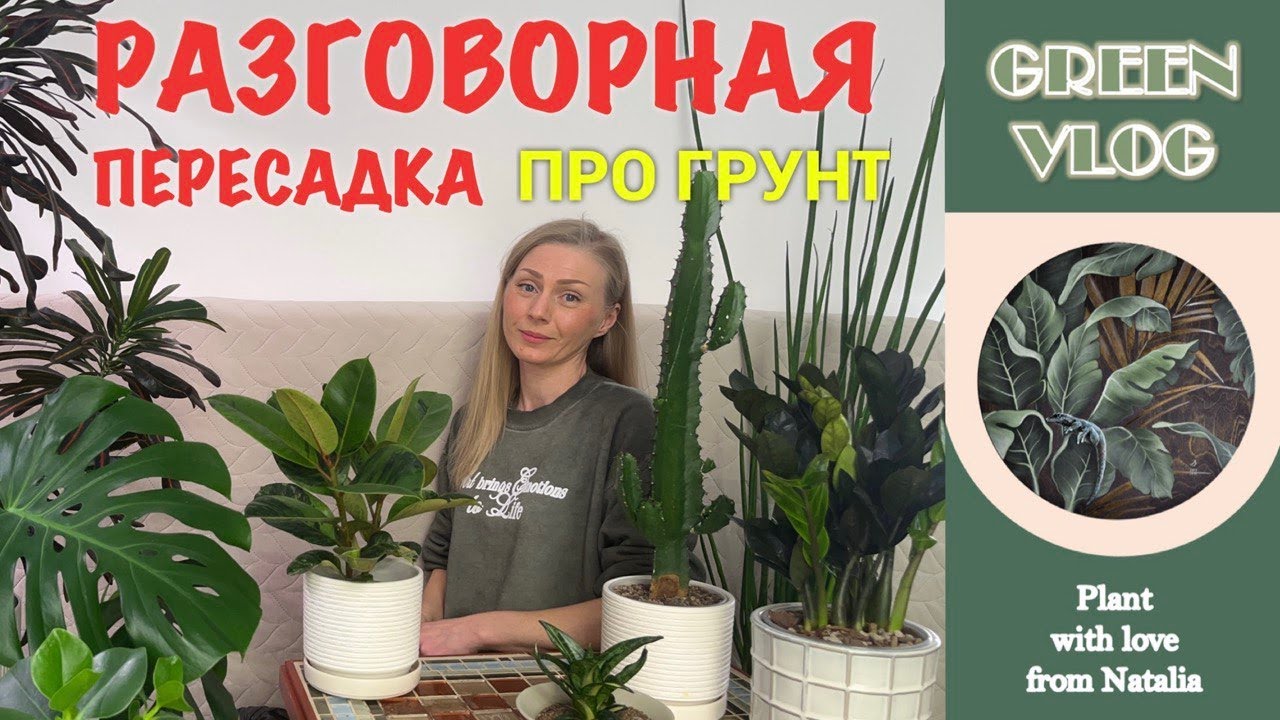 РАЗГОВОРНАЯ ПЕРЕСАДКА ПРО ГРУНТ❤️🌿